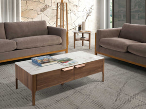 Rectangular glass coffee table imitating marble and walnut