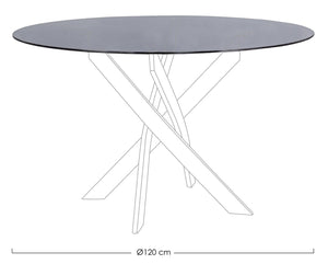 Round Table Top Ø120 cm Smoked Glass