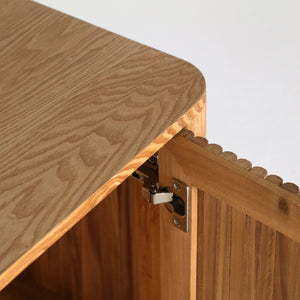 SKAGEN TV UNIT