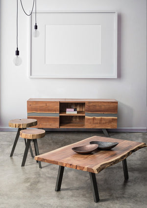 Modern 2-Door Low Cabinet for Living Room Storage