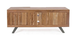 Modern 2-Door Low Cabinet for Living Room Storage