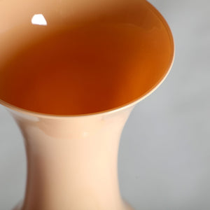 VASO-MAPI