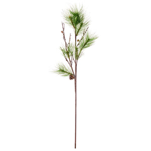 CAEA DECORATIVA