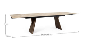 Extendable Dining Table 200–300 cm Walnut Finish with Onyx Effect Top