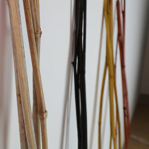 DECORATIVE CAÁA J/5