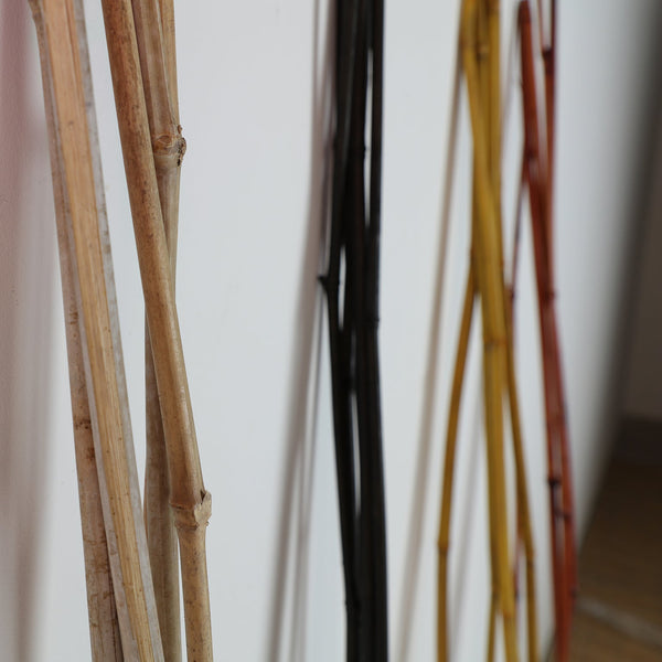 DECORATIVE CAÁA J/5