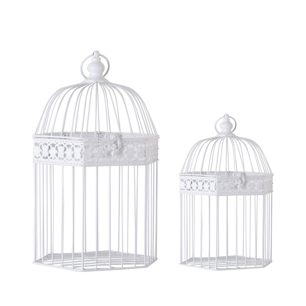 CAGE J/2