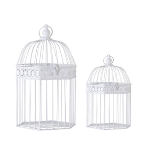 CAGE J/2