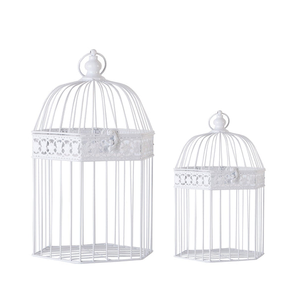 CAGE J/2
