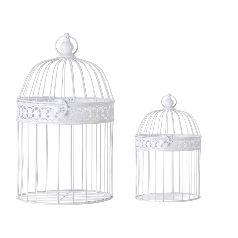 CAGE J/2