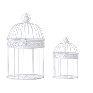 CAGE J/2