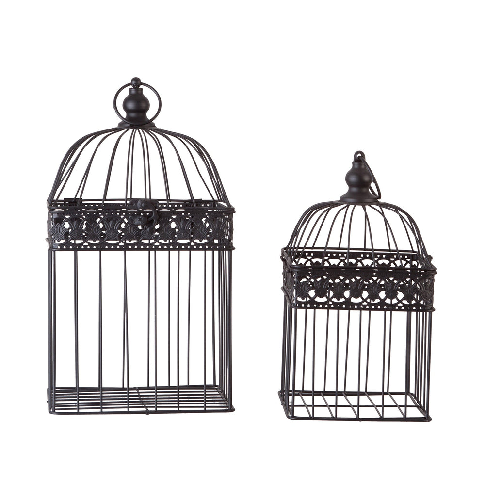 CAGE J/2