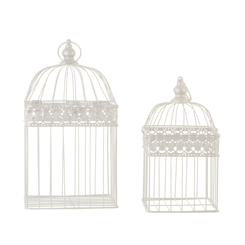 CAGE J/2