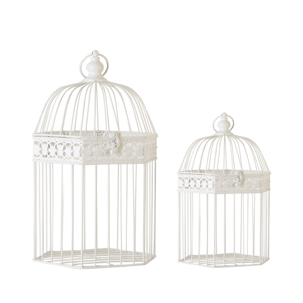 CAGE J/2