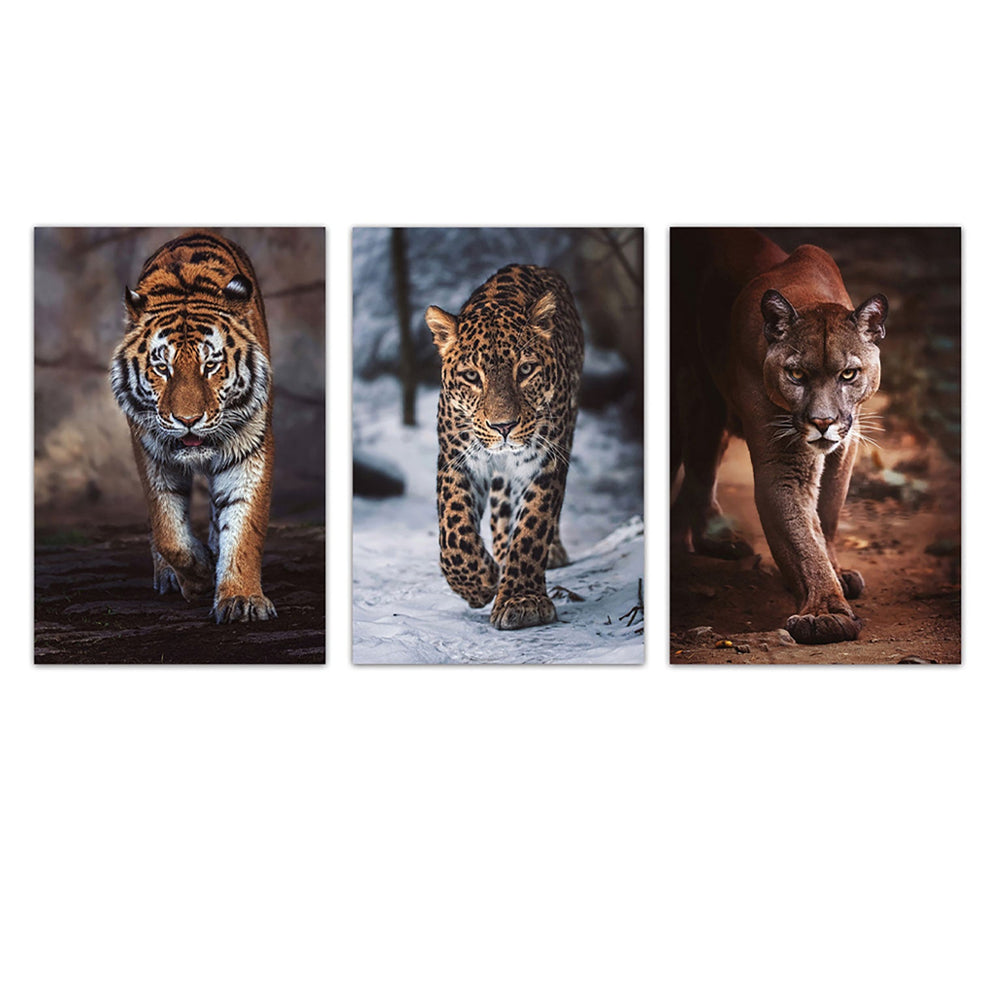 CANVAS ASSORTED 3 FELINE