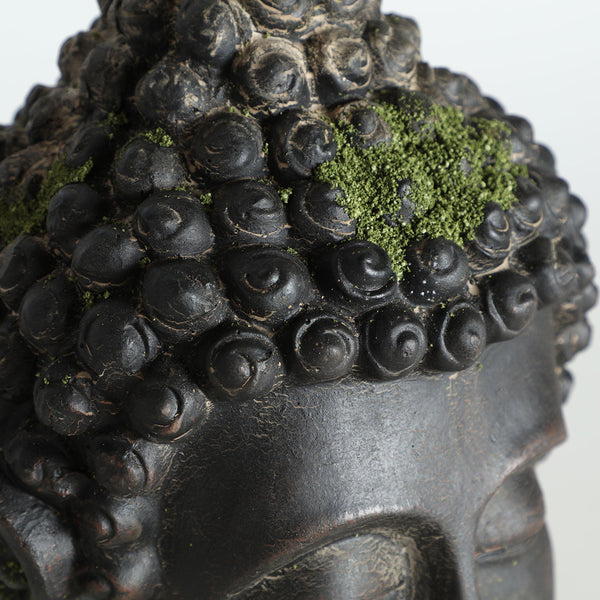 BUDHA