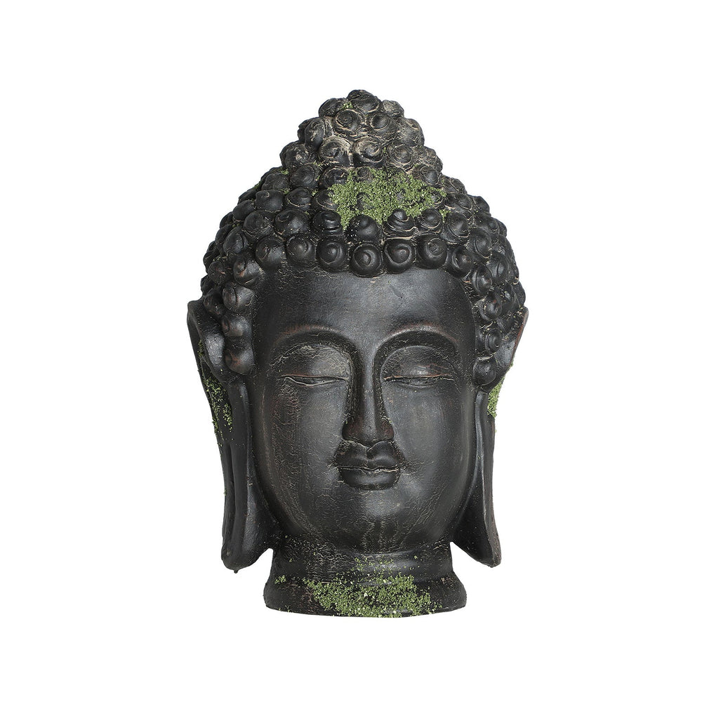 BUDHA