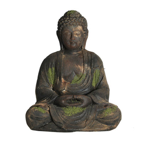 BUDHA