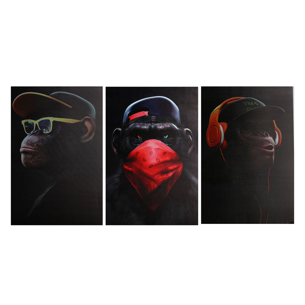 CANVAS ASSORTED 3 MONO
