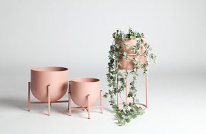 DANNAE FLOWER POT