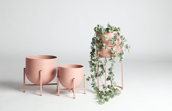 DANNAE FLOWER POT