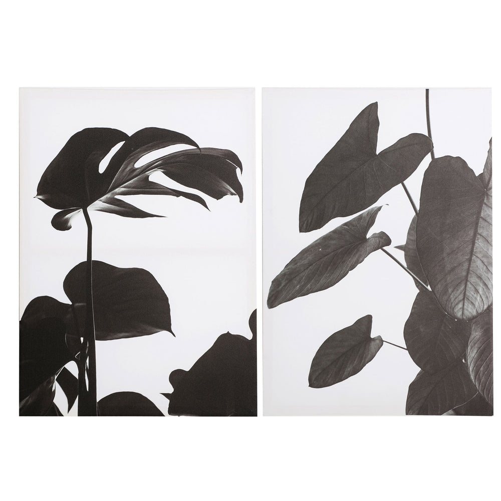 ASSORTED CANVAS/2 SHEETS