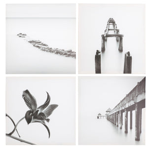 CANVAS ASSORTED 4 ENVIRONMENTS