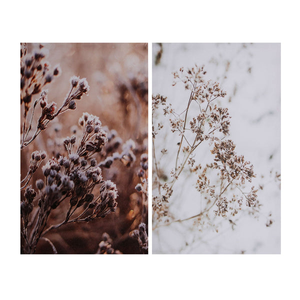 ASSORTED CANVAS 2 BRANCHES
