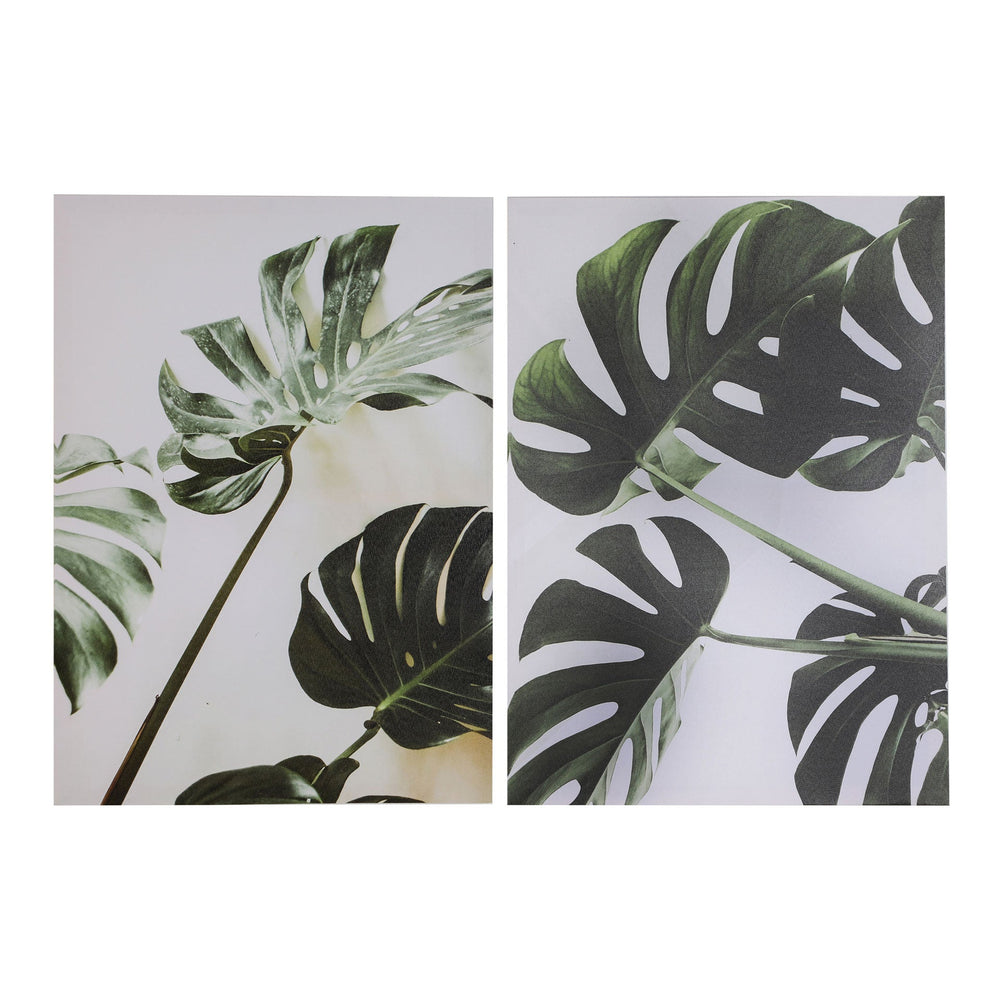 ASSORTED CANVAS/2 SHEETS