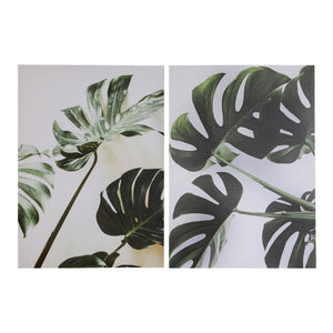 ASSORTED CANVAS/2 SHEETS