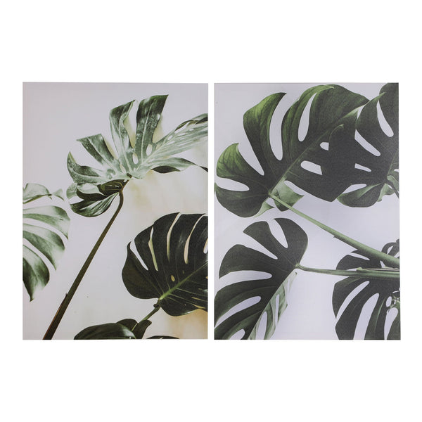 ASSORTED CANVAS/2 SHEETS