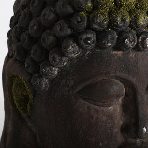 BUDHA