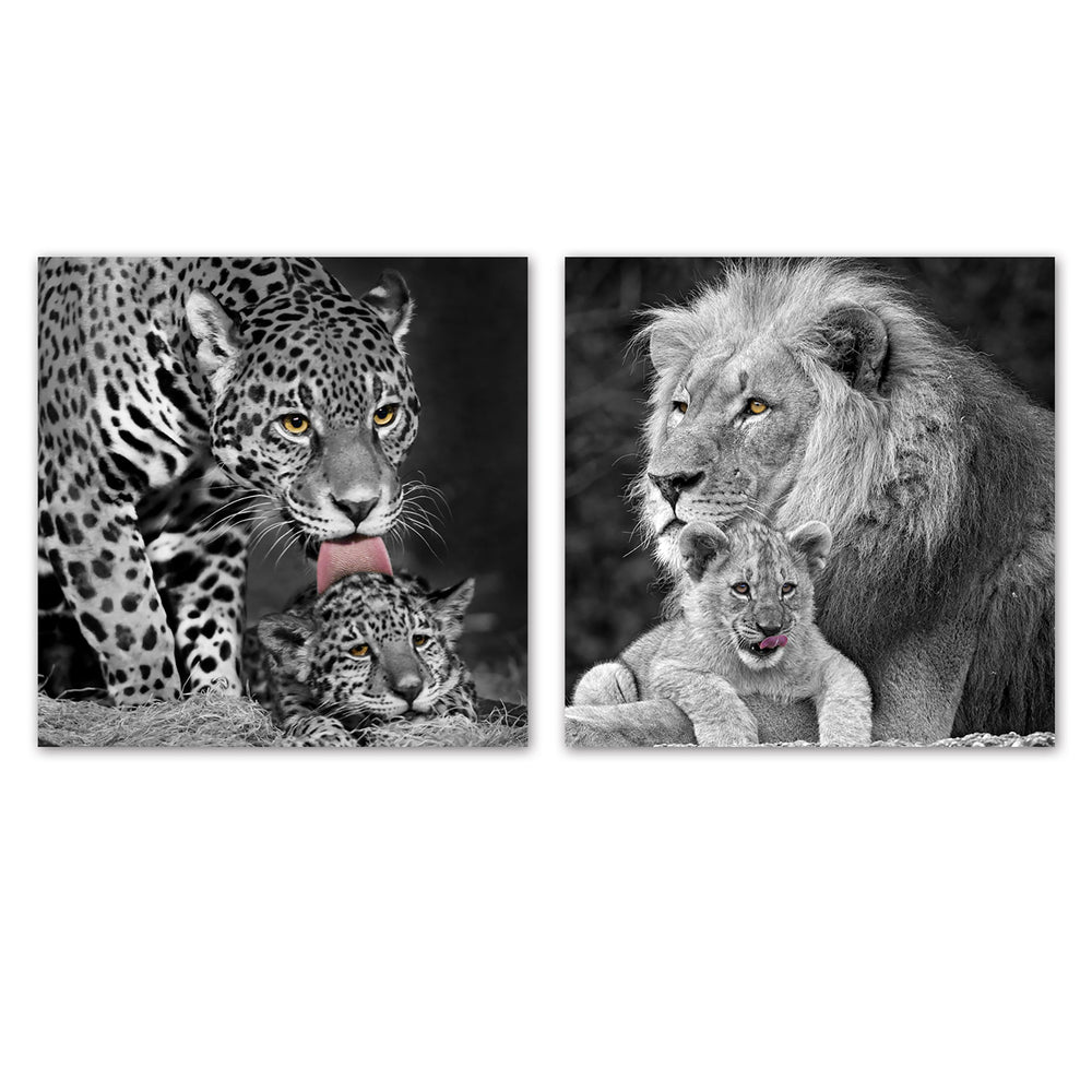 CANVAS ASSORTED/2 ANIMAL