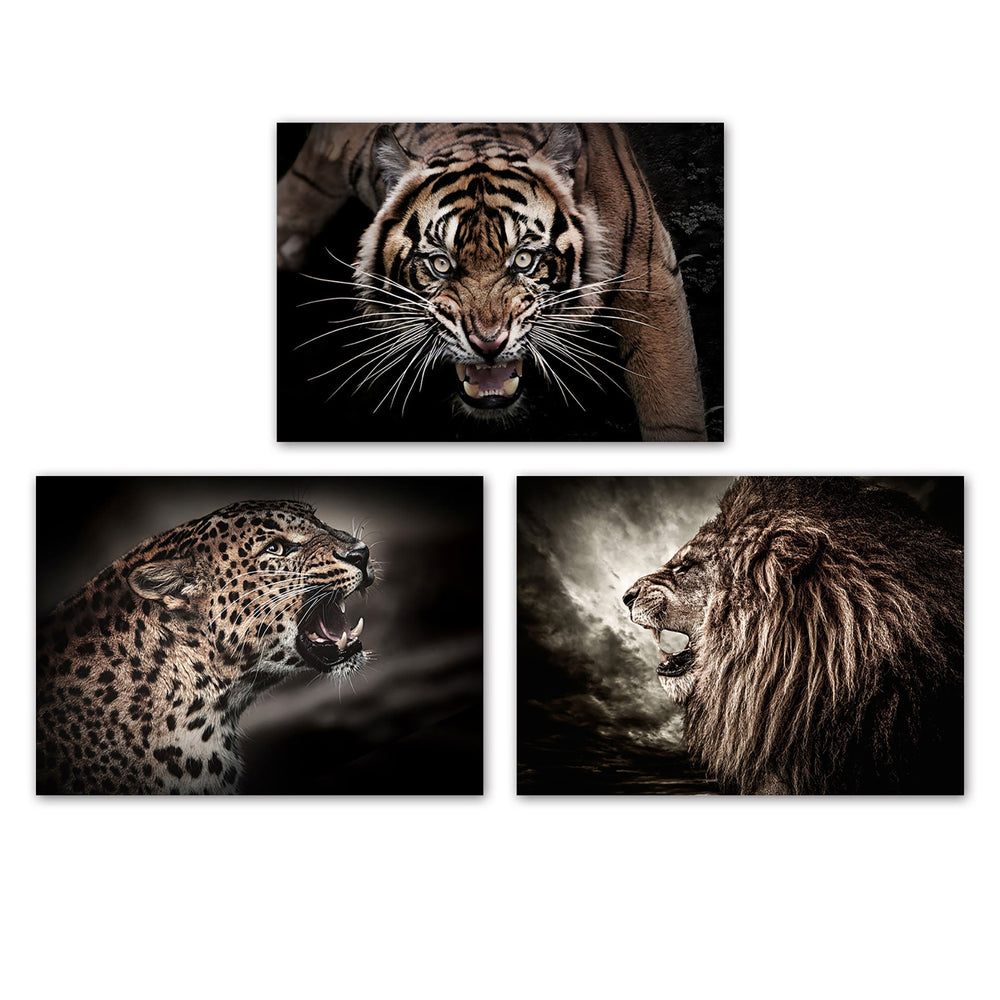 CANVAS ASSORTED/3 ANIMAL