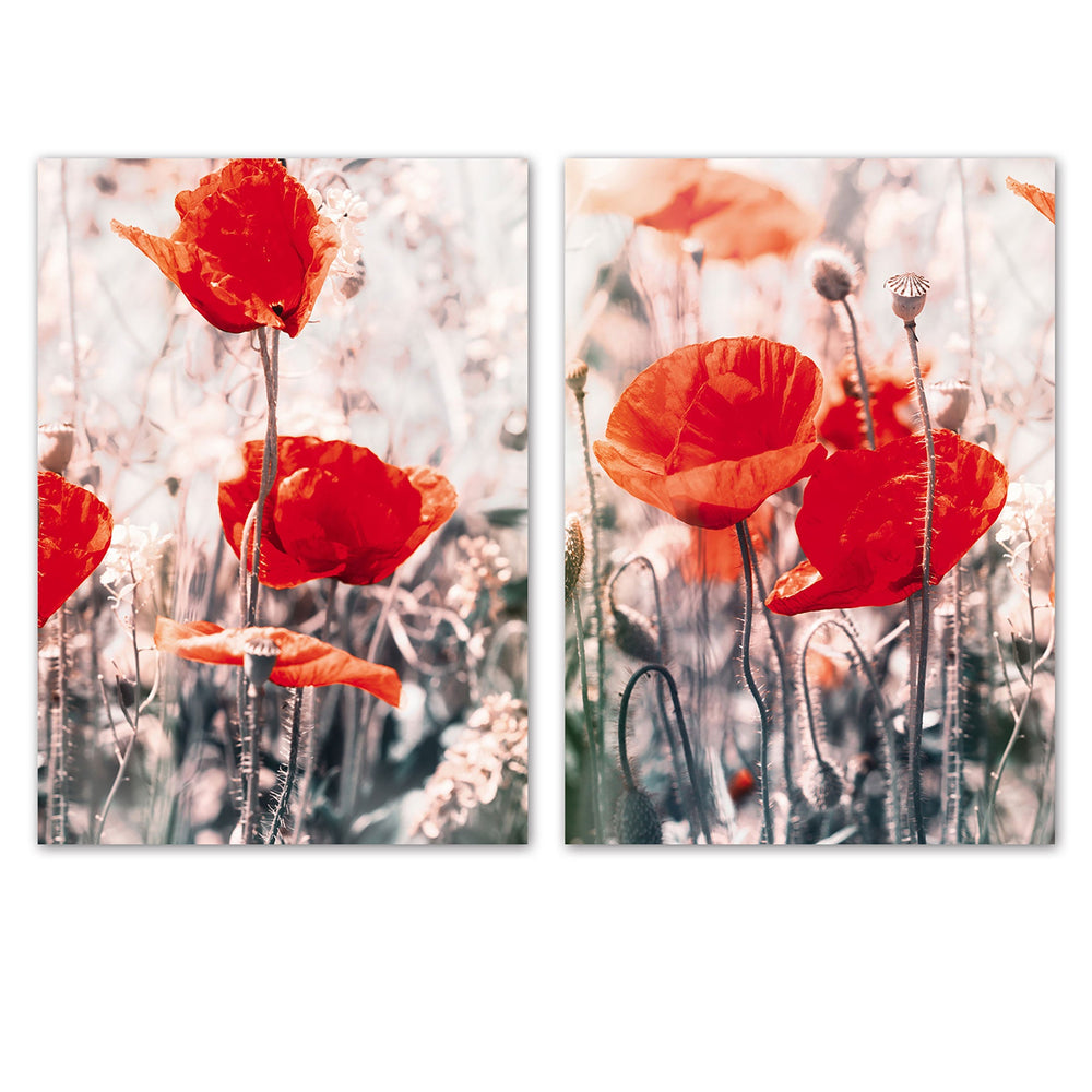 ASSORTED CANVAS/2 FLOWERS
