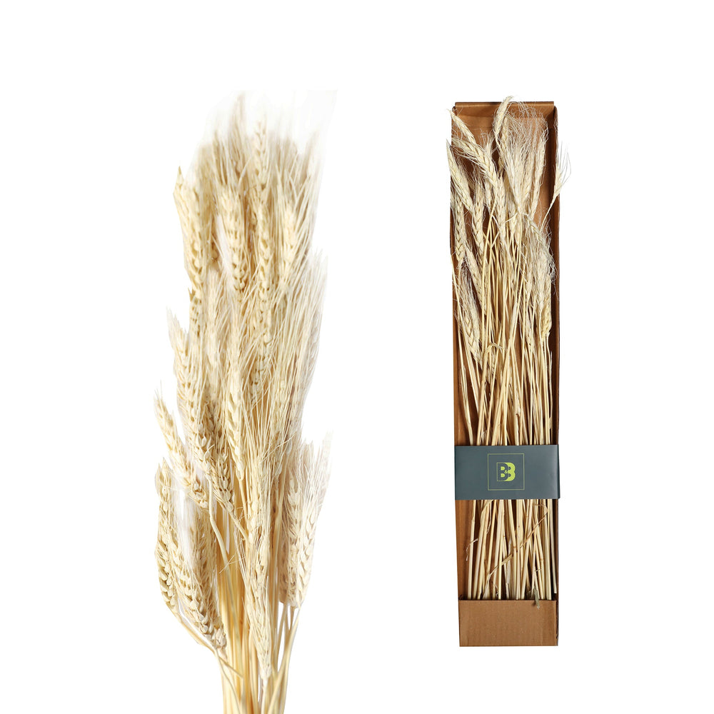DECORATIVE BRANCH