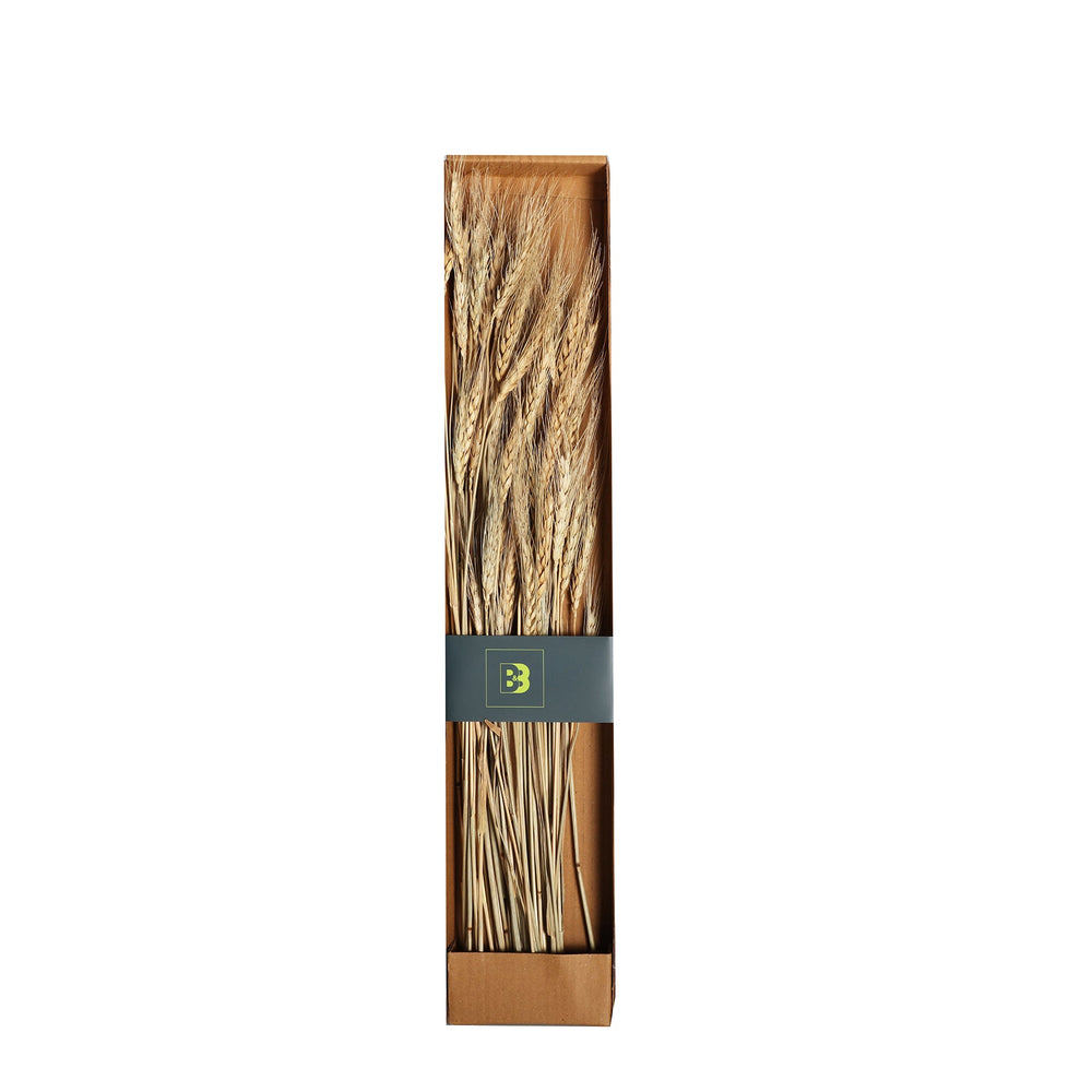 DECORATIVE BRANCH