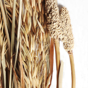 DECORATIVE BRANCH