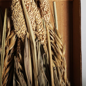 DECORATIVE BRANCH