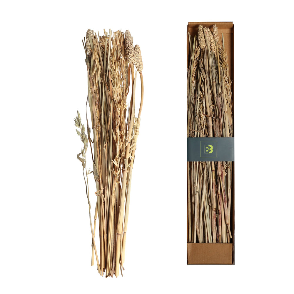 DECORATIVE BRANCH