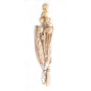 DECORATIVE BRANCH