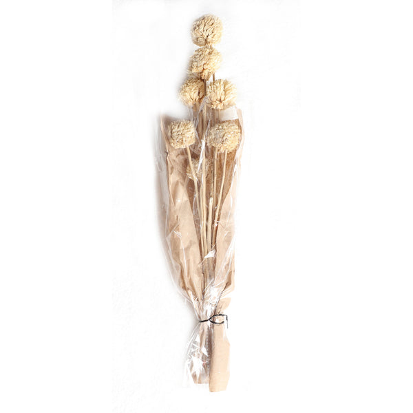 DECORATIVE BRANCH