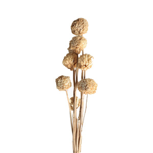 DECORATIVE BRANCH