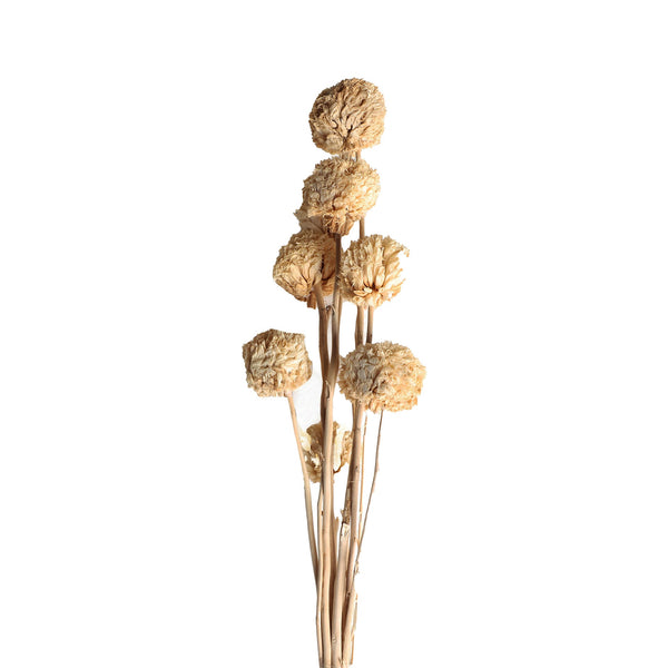 DECORATIVE BRANCH