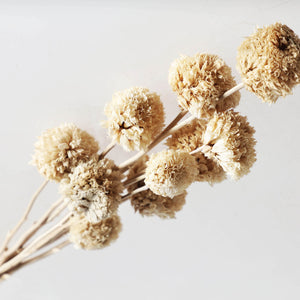 DECORATIVE BRANCH