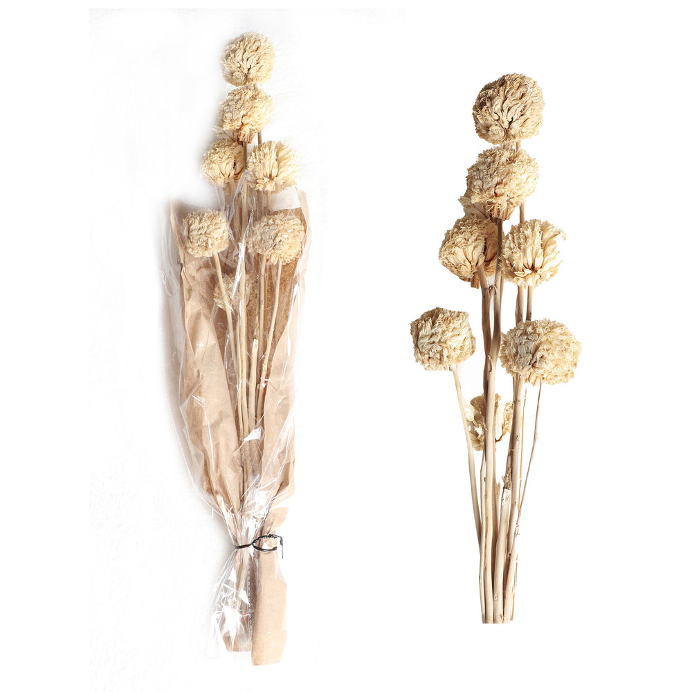 DECORATIVE BRANCH