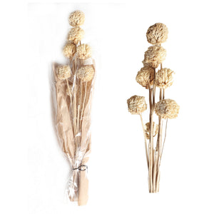 DECORATIVE BRANCH