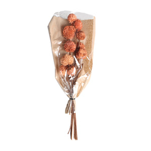 DECORATIVE BRANCH
