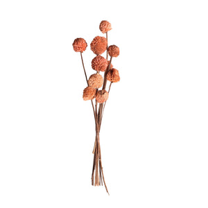DECORATIVE BRANCH