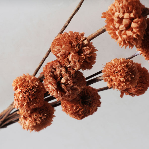 DECORATIVE BRANCH
